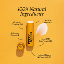 Load image into Gallery viewer, Wild Honey Lip Balm
